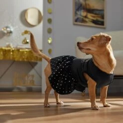 Frisco Kiss Me At Midnight Dog & Cat Dress -Frisco Sales Store 358044 PT7. AC SS1800 V1661799831