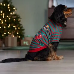 Frisco Naughty, Nice, I Tried Dog & Cat T-Shirt 14 Frisco Naughty, Nice, I Tried Dog & Cat T-Shirt -Frisco Sales Store 358301 PT7. AC SS1800 V1661797473