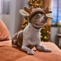 Frisco Antler Fair Isle Dog & Cat Hat -Frisco Sales Store 358313 PT4. AC SS1800 V1661798696