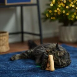 Frisco Holiday Santa's List Plush & Feather Cat Toy With Catnip -Frisco Sales Store 360895 PT3. AC SS1800 V1661874361