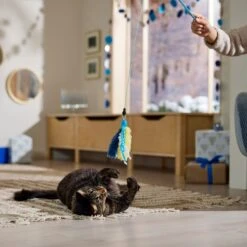 Frisco Hanukkah Interchangeable Teaser Wand Cat Toy With Catnip -Frisco Sales Store 360911 PT3. AC SS1800 V1661890134