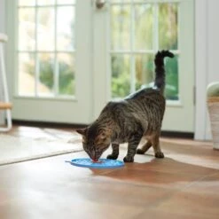 Frisco Non-skid Flower Silicone Dog & Cat Lick Mat, Blue 11 Frisco Non-skid Flower Silicone Dog & Cat Lick Mat, Blue -Frisco Sales Store 363393 PT3. AC SS1800 V1660750521