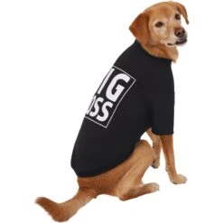 Frisco Big Boss Dog & Cat T-Shirt -Frisco Sales Store 368782 PT4. AC SS1800 V1669100910