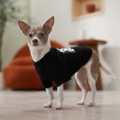 Frisco Big Boss Dog & Cat T-Shirt -Frisco Sales Store 368782 PT7. AC SS1800 V1664992675