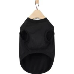 Frisco Birthday Vibe Dog & Cat T-Shirt -Frisco Sales Store 368790 PT5. AC SS1800 V1664992108