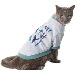 Frisco It's My Birth Day Dog & Cat T-Shirt -Frisco Sales Store 368808 PT2. AC SS1800 V1669100848