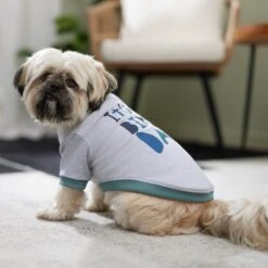 Frisco It's My Birth Day Dog & Cat T-Shirt -Frisco Sales Store 368808 PT7. AC SS1800 V1664992107