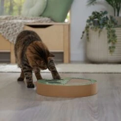 Frisco Interactive Maze & Scratch Cardboard Cat Toy Box With Catnip, Palms 12 Frisco Interactive Maze & Scratch Cardboard Cat Toy Box With Catnip, Palms -Frisco Sales Store 506130 PT4. AC SS1800 V1669212028