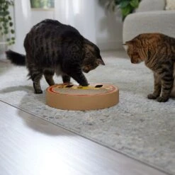 Frisco Interactive Maze & Scratch Cardboard Cat Toy With Catnip, Pizza -Frisco Sales Store 506154 PT4. AC SS1800 V1669148129