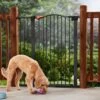 Frisco Outdoor Steel Arch Extra Tall Auto-Close Dog Gate 1 Frisco Outdoor Steel Arch Extra Tall Auto-Close Dog Gate -Frisco Sales Store 507102 MAIN. AC SS1800 V1668736255