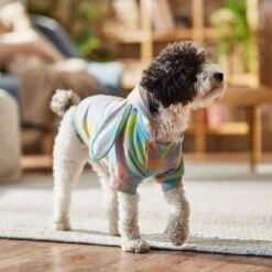 Frisco Wash Effect Bunny Ear Hoodie 18 Frisco Wash Effect Bunny Ear Hoodie -Frisco Sales Store 521374 PT7. AC SS1800 V1699653757