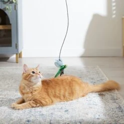 Frisco Leaf & Dragonfly Interchangeable Teaser Wand Cat Toy With Catnip -Frisco Sales Store 525982 PT3. AC SS1800 V1669148131