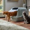 Frisco Mega Deluxe Litter Box 2 Frisco Mega Deluxe Litter Box -Frisco Sales Store 526526 MAIN. AC SS1800 V1659623787