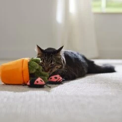 Frisco Spring Potted Plant And Ladybugs Interactive Plush Cat Toy With Catnip -Frisco Sales Store 541542 PT3. AC SS1800 V1671814448