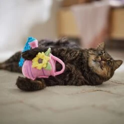 Frisco Spring Watering Can Plush Cat Toy With Catnip -Frisco Sales Store 541558 PT3. AC SS1800 V1671814448