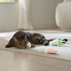 Frisco Easter Carrot Plush Cat Toy With Catnip -Frisco Sales Store 550470 PT4. AC SS1800 V1702500564