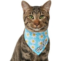 Frisco Personalized Blue Daisy Bandana 17 Frisco Personalized Blue Daisy Bandana -Frisco Sales Store 555206 PT6. AC SS1800 V1669839922