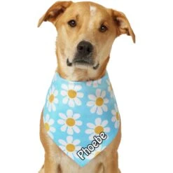 Frisco Personalized Blue Daisy Bandana 18 Frisco Personalized Blue Daisy Bandana -Frisco Sales Store 555206 PT7. AC SS1800 V1669839925