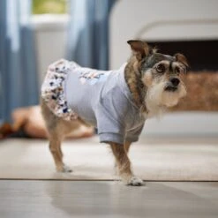 Frisco Stay Wild Dog & Cat Hoodie -Frisco Sales Store 555366 PT6. AC SS1800 V1674829061