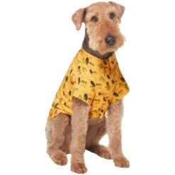 Frisco Safari Zebra Dog & Cat Shirt 14 Frisco Safari Zebra Dog & Cat Shirt -Frisco Sales Store 555566 PT3. AC SS1800 V1675103172