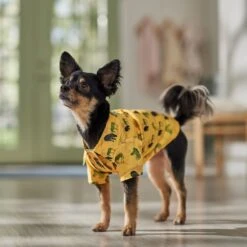 Frisco Safari Zebra Dog & Cat Shirt 18 Frisco Safari Zebra Dog & Cat Shirt -Frisco Sales Store 555566 PT7. AC SS1800 V1675099388