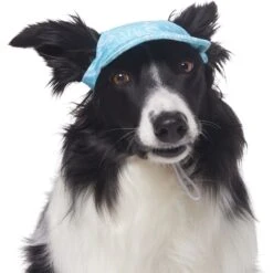 Frisco Blue Ocean Waves 30 + UPF Dog & Cat Beach Cap -Frisco Sales Store 556182 PT3. AC SS1800 V1677530963