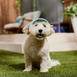 Frisco Blue Ocean Waves 30 + UPF Dog & Cat Beach Cap -Frisco Sales Store 556182 PT5. AC SS1800 V1675714092