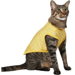 Frisco 30+ UPF Dog & Cat Beach Rash Guard -Frisco Sales Store 556286 PT3. AC SS1800 V1675714033