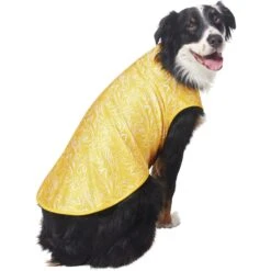 Frisco 30+ UPF Dog & Cat Beach Rash Guard -Frisco Sales Store 556286 PT4. AC SS1800 V1675713977