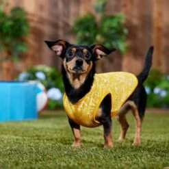 Frisco 30+ UPF Dog & Cat Beach Rash Guard -Frisco Sales Store 556286 PT6. AC SS1800 V1675714036