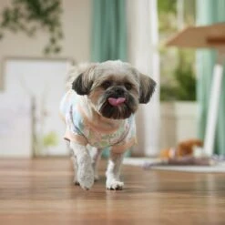 Frisco Vintage Tropical Dog & Cat Pocket T-Shirt 14 Frisco Vintage Tropical Dog & Cat Pocket T-Shirt -Frisco Sales Store 556598 PT5. AC SS1800 V1675101997