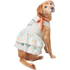 Frisco Tropical State Of Mind Dog & Cat Dress -Frisco Sales Store 556742 PT3. AC SS1800 V1675103177