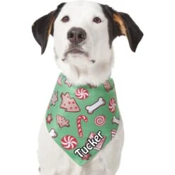 Frisco Gingerbread Treats Personalized Dog & Cat Bandana -Frisco Sales Store 564502 PT6. AC SS1800 V1660405305