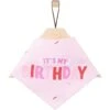 Frisco Dog & Cat Birthday Bandana -Frisco Sales Store 608206 MAIN. AC SS1800 V1676643308