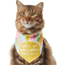 Frisco Wake Up Positive Dog & Cat Bandana -Frisco Sales Store 608230 PT2. AC SS1800 V1676644830
