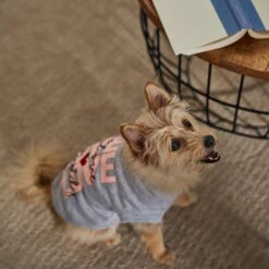 Frisco I Love Daddy Heart Dog & Cat T-Shirt 14 Frisco I Love Daddy Heart Dog & Cat T-Shirt -Frisco Sales Store 608262 PT7. AC SS1800 V1676585954