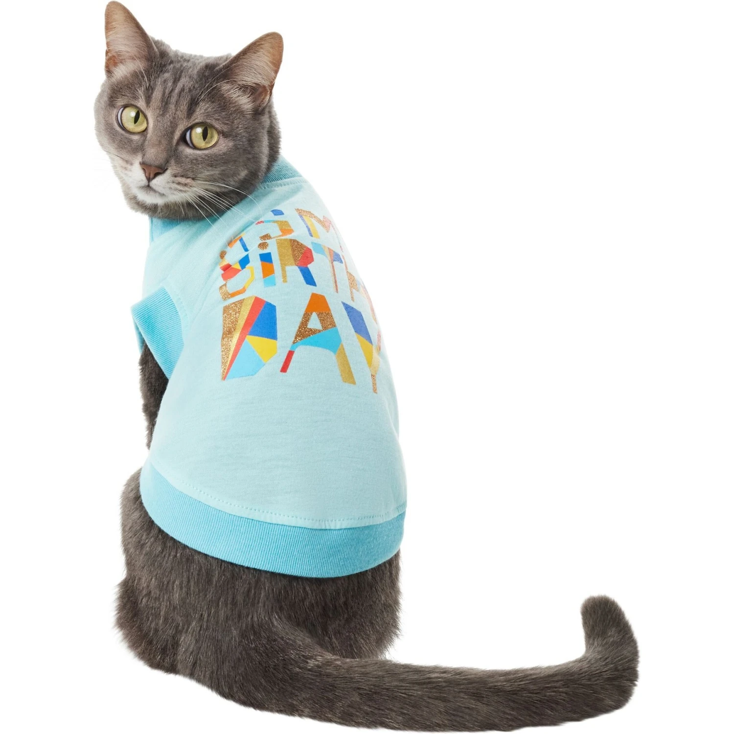 Frisco Birthday Celebration Dog & Cat T-Shirt 5 Frisco Birthday Celebration Dog & Cat T-Shirt - Image 3