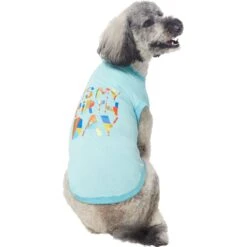 Frisco Birthday Celebration Dog & Cat T-Shirt 12 Frisco Birthday Celebration Dog & Cat T-Shirt -Frisco Sales Store 608318 PT3. AC SS1800 V1676643253