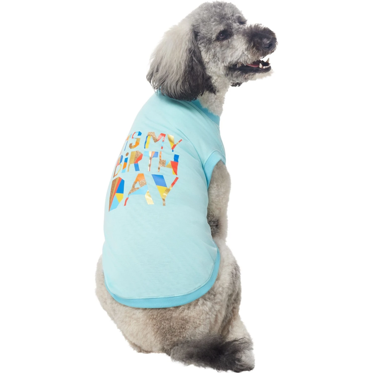 Frisco Birthday Celebration Dog & Cat T-Shirt 6 Frisco Birthday Celebration Dog & Cat T-Shirt - Image 4