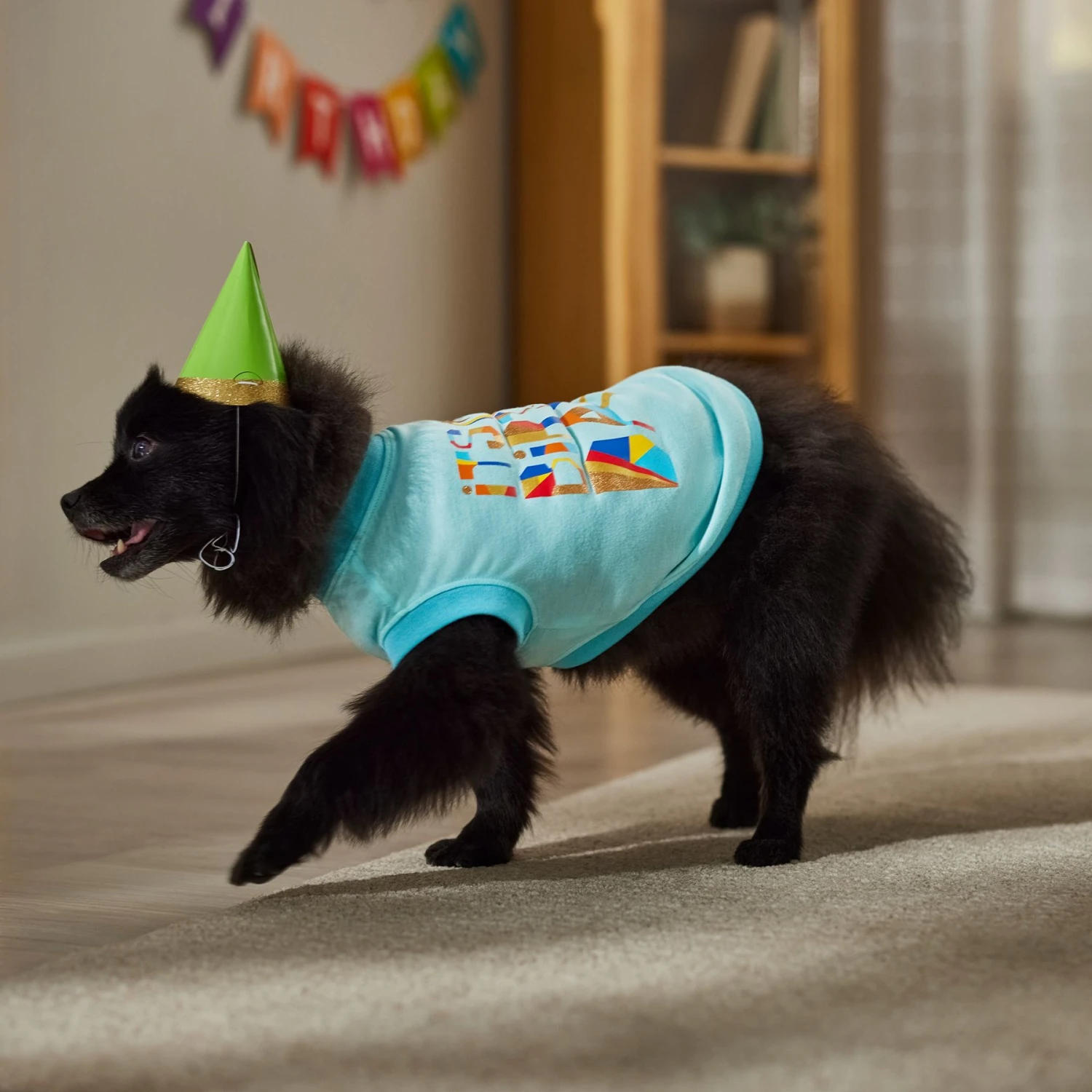 Frisco Birthday Celebration Dog & Cat T-Shirt 8 Frisco Birthday Celebration Dog & Cat T-Shirt - Image 6