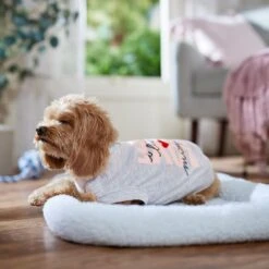 Frisco I Love Mommy Heart Dog & Cat T-Shirt 14 Frisco I Love Mommy Heart Dog & Cat T-Shirt -Frisco Sales Store 608382 PT7. AC SS1800 V1676643805