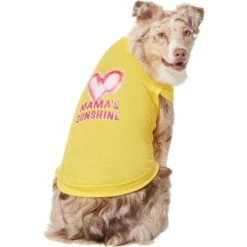 Frisco Mama's Sunshine Dog & Cat T-Shirt 10 Frisco Mama's Sunshine Dog & Cat T-Shirt -Frisco Sales Store 608446 PT3. AC SS1800 V1676586071