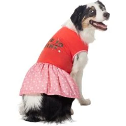 Frisco Time To Shine Dog & Cat Dress -Frisco Sales Store 608638 PT3. AC SS1800 V1676644904