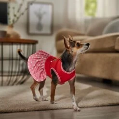 Frisco Time To Shine Dog & Cat Dress -Frisco Sales Store 608638 PT7. AC SS1800 V1676643324