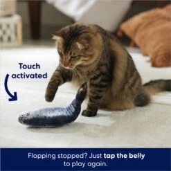 Frisco Interactive Flopping Fish Electronic Cat Toy With Catnip -Frisco Sales Store 632798 PT4. AC SS1800 V1679513800