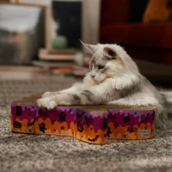 Frisco Halloween Ghost Swirl Scratcher Cat Toy With Catnip -Frisco Sales Store 668230 PT3. AC SS1800 V1689343997