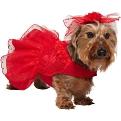 Frisco Red Ruffle Dog & Cat Dress + Headpiece -Frisco Sales Store 707286 PT2. AC SS1800 V1689355022