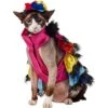 Frisco Ruffle Party Dog & Cat Dress + Headpiece