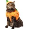 Frisco Pumpkin Ball Dog & Cat Costume -Frisco Sales Store 708902 MAIN. AC SS1800 V1689351821
