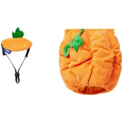 Frisco Pumpkin Ball Dog & Cat Costume -Frisco Sales Store 708902 PT4. AC SS1800 V1689342202